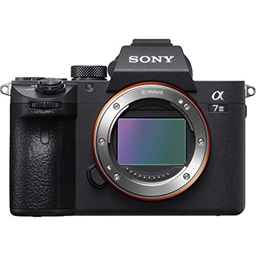 Sony a7 III Full-frame Mirrorless Interchangeable-Lens Camera with 28-70mm Lens Optical