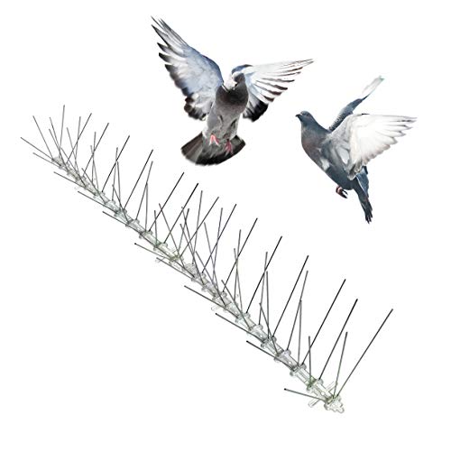 Bird-X STS-100 Regular Width 6-inch Stainless Steel Bird Spikes, Metal Roof Guard Pigeon Prevention, Rodent Deterrent, Animal and Pest Control Supplies, 100 feet