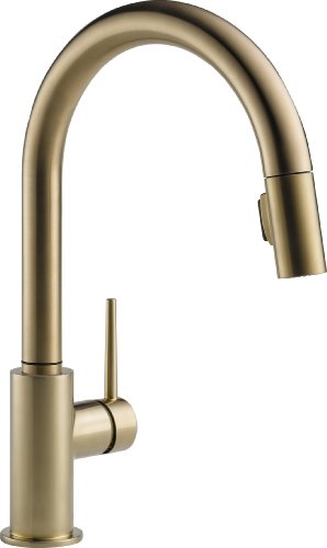 Delta Faucet Trinsic Single-Handle Kitchen Sink Faucet with Pull Down Sprayer and Magnetic Docking Spray Head, Champagne Bronze 9159-CZ-DST