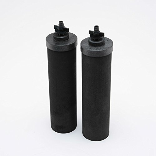 Berkey BB9-2 Replacement Black Water Filter Elements (2 Filters)