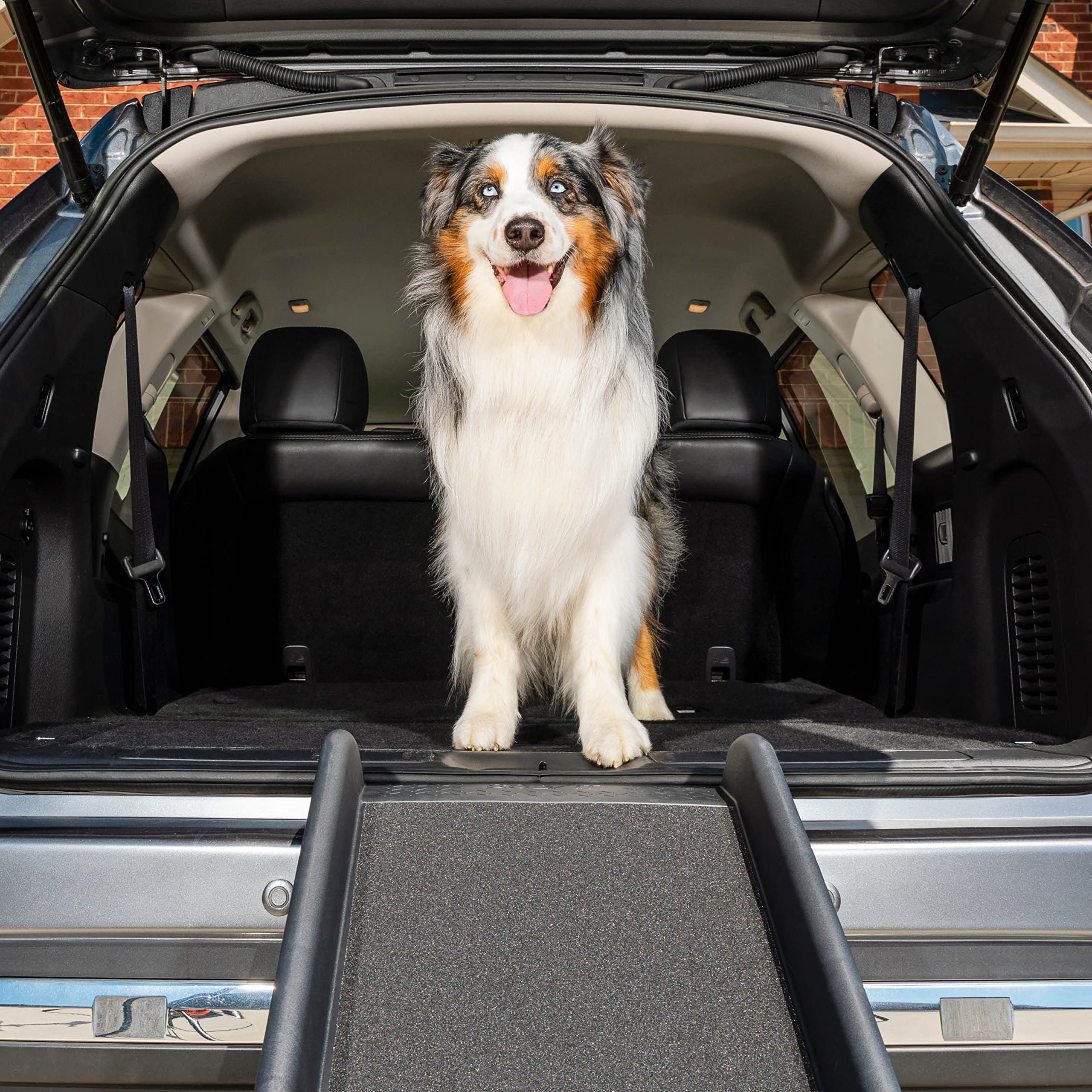 PetSafe Happy Ride Folding Dog Ramp for Cars, Trucks, & SUVs - 62 Inch Portable Pet Ramp for Large Dogs with Siderails, Non-Slip - Weighs Only 10 lb, Supports up to 150 lb, Easy Storage, Folds in Half