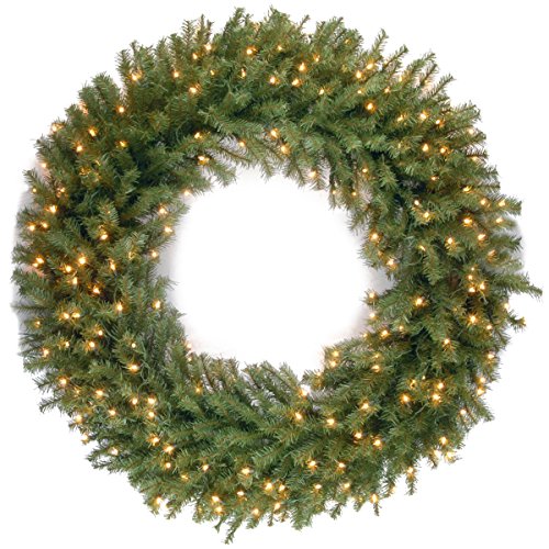 National Tree Company 48 Inch Norwood Fir Wreath with 300 Warm White LED Lights (NF-318L-48W), 48 in