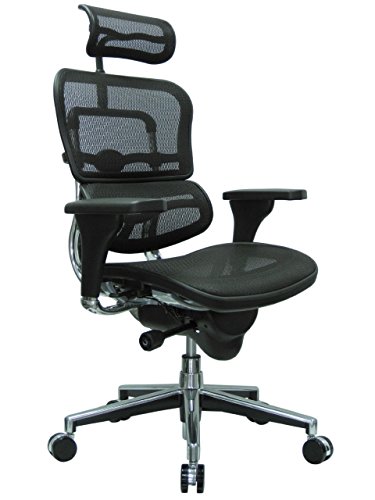 Ergohuman Mesh Chair - 18.1A 22.9" Seat Height - High-Back Chair with Headrest - Burgundy