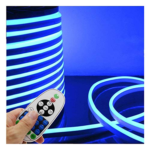 IEKOV LED NEON Light Strip, ? AC 110-120V Flexible LED Neon Light Strip, 60 LEDs/M, Waterproof, 5050 SMD LED Rope Light with Remote