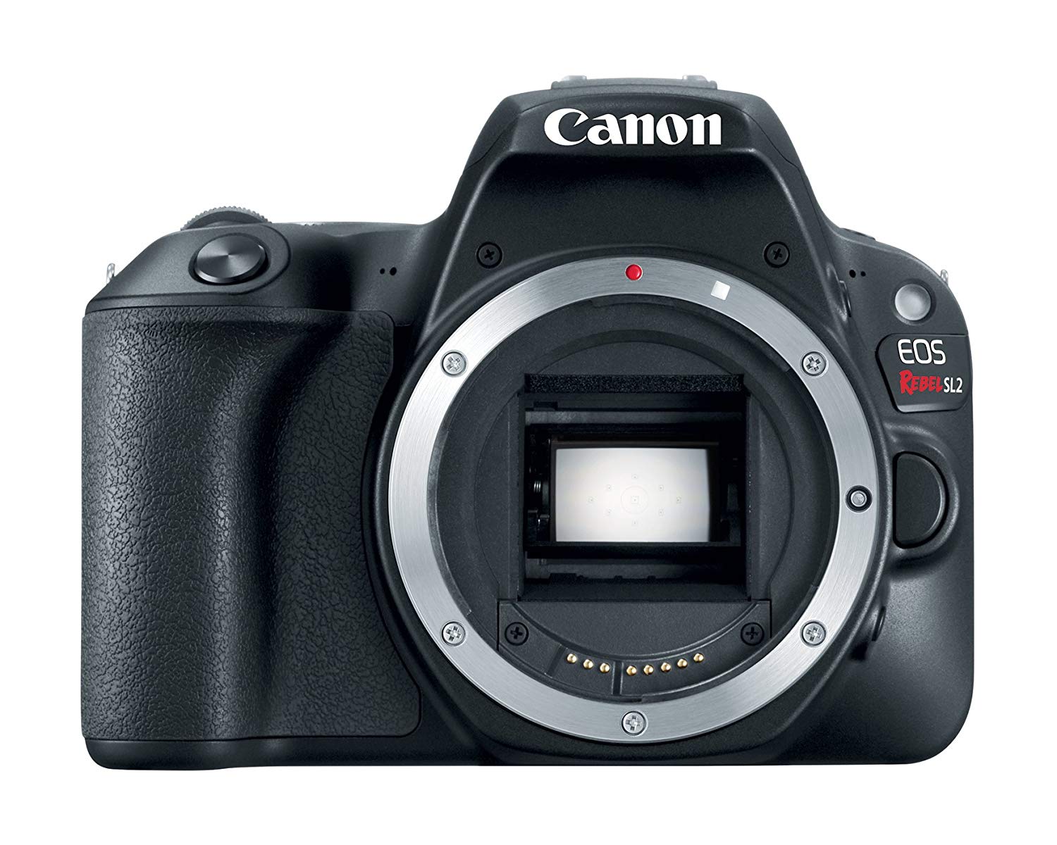 Canon EOS Rebel SL2 Digital SLR Camera Body - WiFi Enab...
